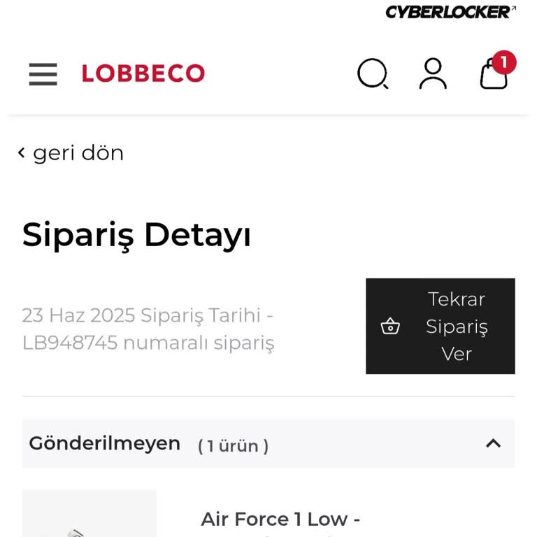 Lobbeco Siparişim Ne Kargoya Verildi Ne de İptal Ediliyor: Mağduriyetim Giderilmiyor