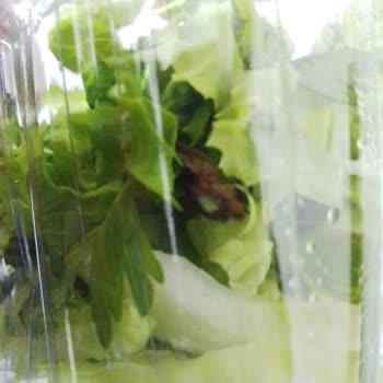 Siparişimde Salatada Böcek Çıktı, Firma Sorunu Normal Karşıladı