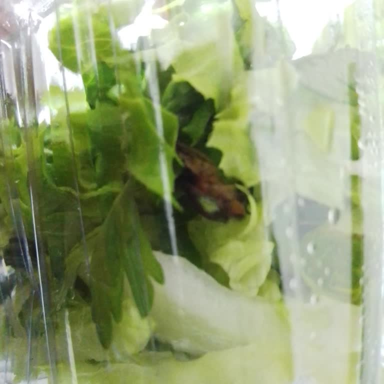 Siparişimde Salatada Böcek Çıktı, Firma Sorunu Normal Karşıladı