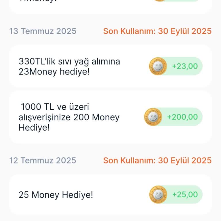 Migros Sanal Market'te Yüklenen Money Puanlar Cüzdanda Görünmüyor, Destek Alamadım