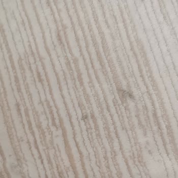 Klima Kurulumu Sonrası Evimde Oluşan Hasar Ve Dikkatsiz Çalışma