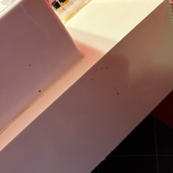 Oda Ve Havuz Temizliği Beklentimi Karşılamadı