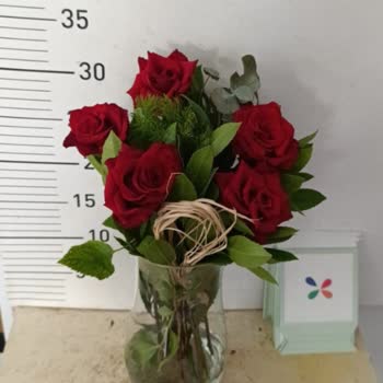 Çiçek Siparişim Hatalı Geldi Para İadesi Yapılmadı