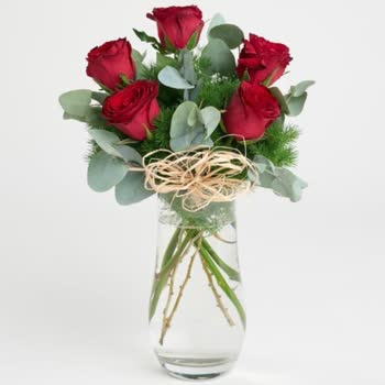 Çiçek Siparişim Hatalı Geldi Para İadesi Yapılmadı