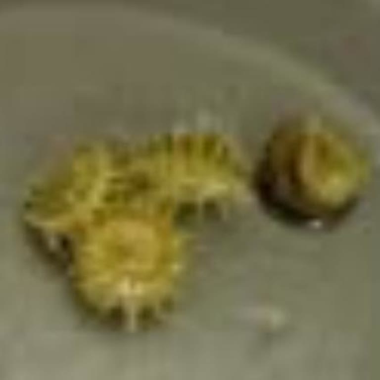 A101 Mağazasında İade Sırasında Küçümseyici Ve Saygısız Çalışan Tutumu