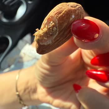 Peyman Çiğ Bademde Kurt Çıkmasıyla Güven Kaybı Yaşadım