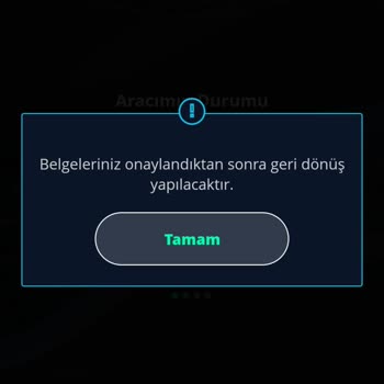 Belge Doğrulama Süreci Çok Uzun Sürüyor, Servis Kayıtlarına Ulaşamıyorum