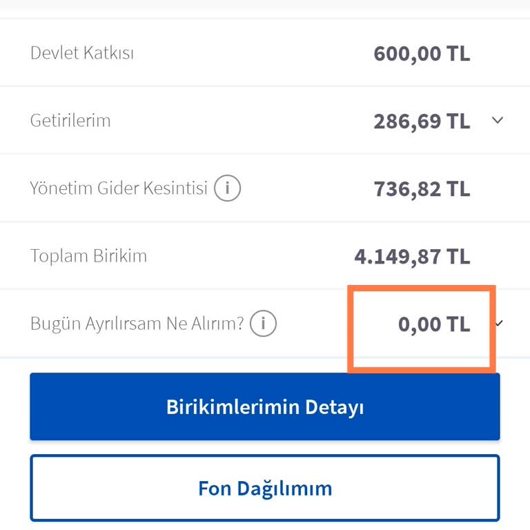 Acil Nakit İhtiyacında Bireysel Emeklilikten Paramı Alamıyorum