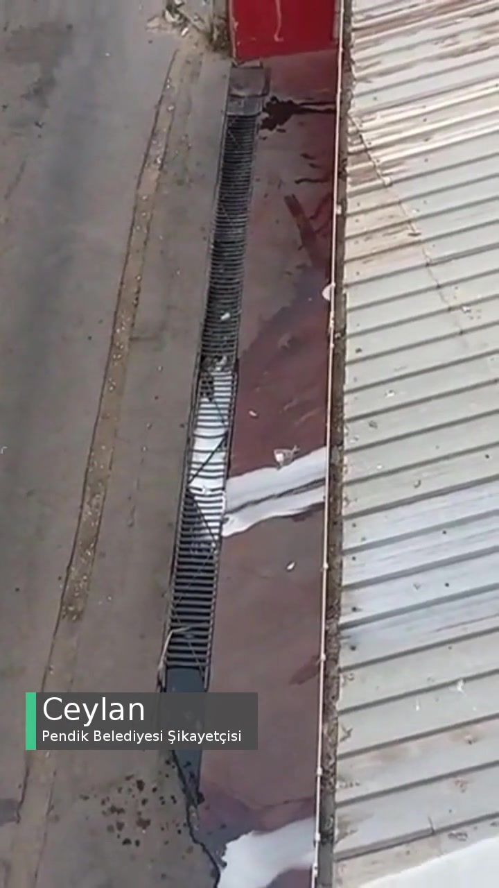 Pendik Belediyesi Pencerenin Dibinde Oto Yıkama Var videonun kapak resmi