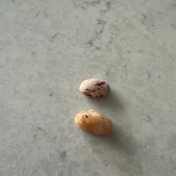 Barbunya Konservesinden Çıkan Taş Bebeğimin Sağlığını Tehlikeye Attı