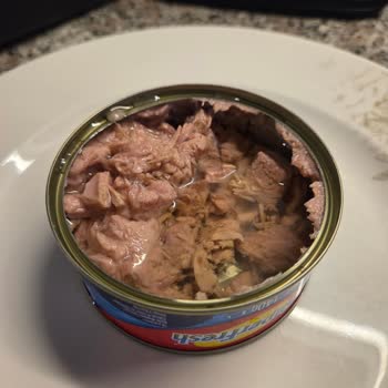 Konserve Ton Balığının İçinin Boş Çıkması Ve Hijyen Endişesi