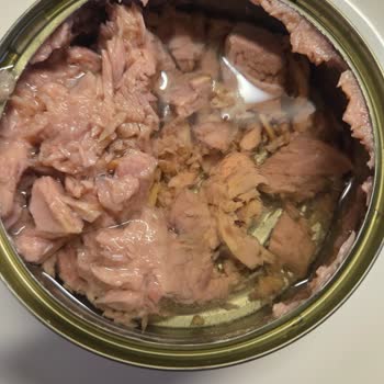 Konserve Ton Balığının İçinin Boş Çıkması Ve Hijyen Endişesi