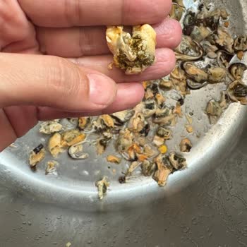 Metro Market'ten Aldığım Dondurulmuş Midye İçinin Kirli Çıkması Hayal Kırıklığı Yarattı