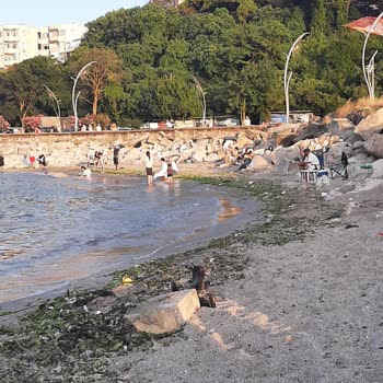 Ağlayan Kayalar Sahilinde Temizlik Ve Bakım Eksikliği Yüzünden Denize Giremiyoruz