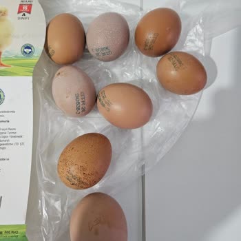 Aldığım Organik Yumurtalar Beklenenden Çok Küçük Çıktı