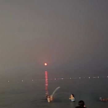 Kamera Sorunu Nedeniyle Samsung S25+ Alımından Memnun Değilim