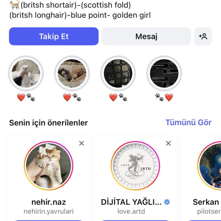 Instagram'daki Sahte Veteriner Hesabı Mağduriyeti