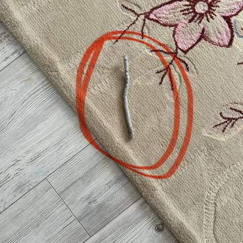 Dreame LS10 Pro Ultra Heat Mop Damages Carpet and Specs Are Misleading