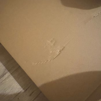 Ikea Teslimatta Zedelenen Dolap Hevesimizi Kursağımızda Bıraktı