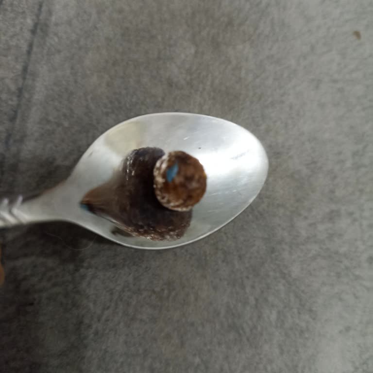 Kahvaltılık Üründe Yabancı Madde Şoku: Çocuklarımızın Sağlığı Tehlikede