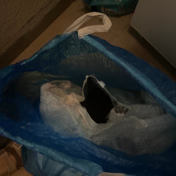 Royal Canin Aldığım Mama Kedilerime Zarar Verdi, Param Boşa Gitti