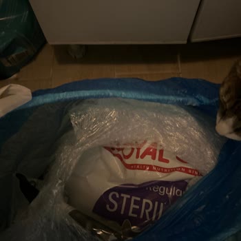 Royal Canin Aldığım Mama Kedilerime Zarar Verdi, Param Boşa Gitti