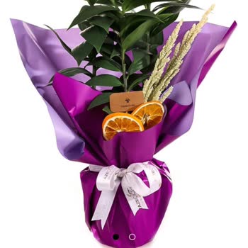 Taze Çiçek | Tazecicek.com Siparişim Doğum Gününe Yetişmedi, Müşteri Hizmetleri Mağdur Etti!