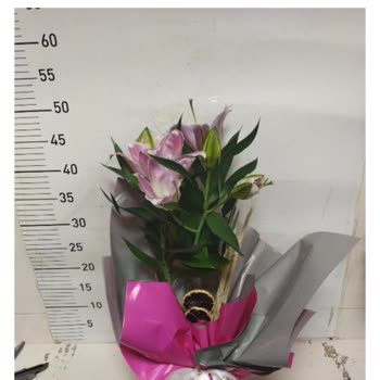 Taze Çiçek | Tazecicek.com Siparişim Doğum Gününe Yetişmedi, Müşteri Hizmetleri Mağdur Etti!