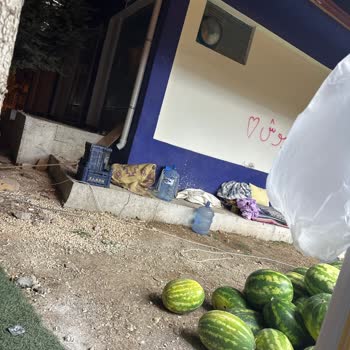 Elektrik Bağlantısı İçin 10 Gündür Bekliyoruz, Mağduriyetimiz Artıyor