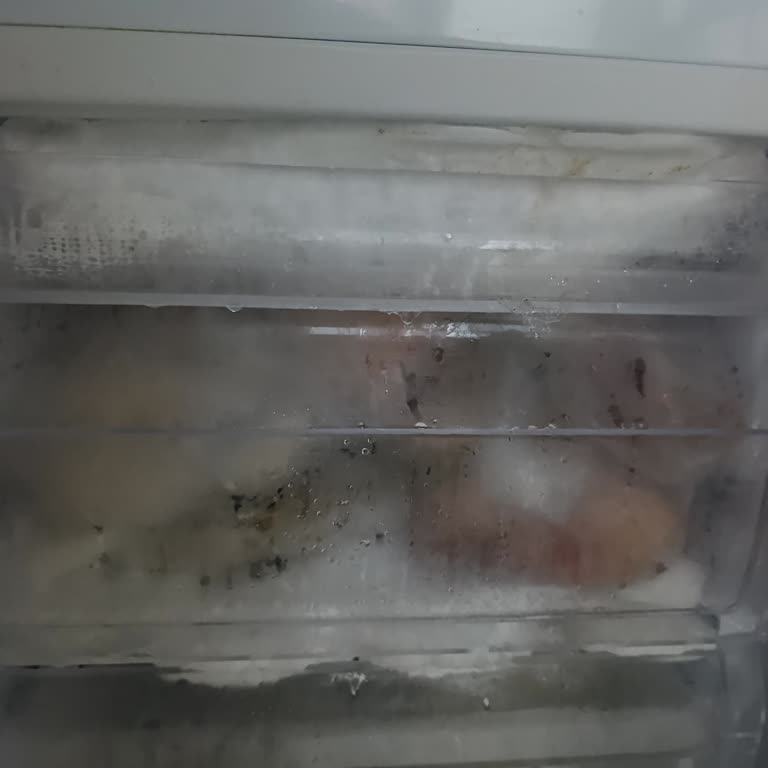 Derin Dondurucu Çekmece Buzlanması ve Kullanım Sorunu