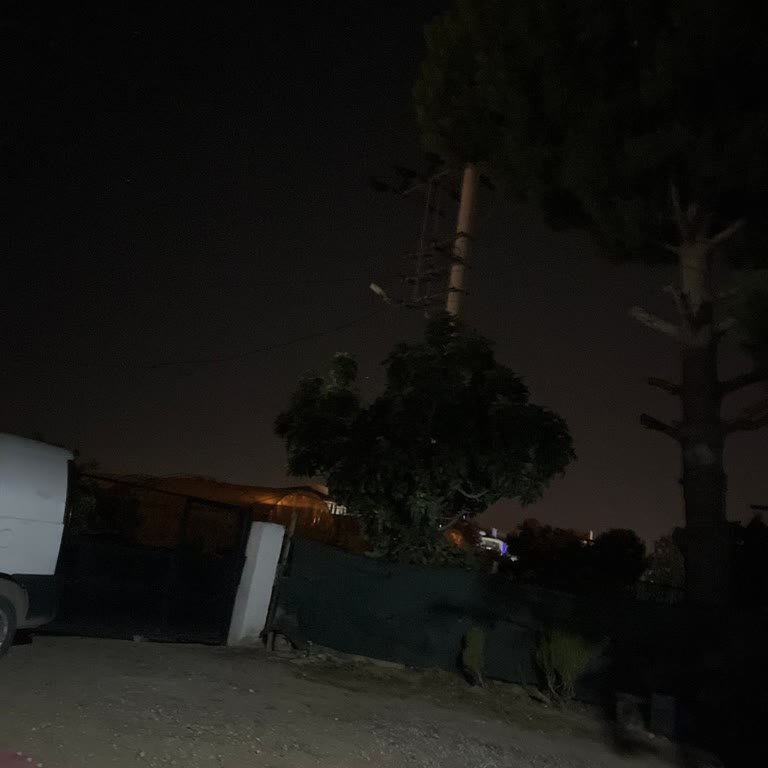 Kuş Nedeniyle Elektrik Arızası Ve İlgisizlik Mağduriyeti