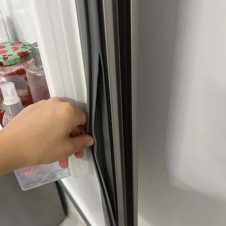 Bosch Buzdolabının Kapağındaki Lastik Kısa Sürede Yırtıldı