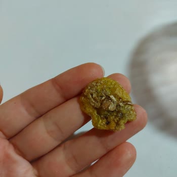 Chips Master Cips Paketinden Hijyen Sorunu: Sağlığımız Tehlikede!