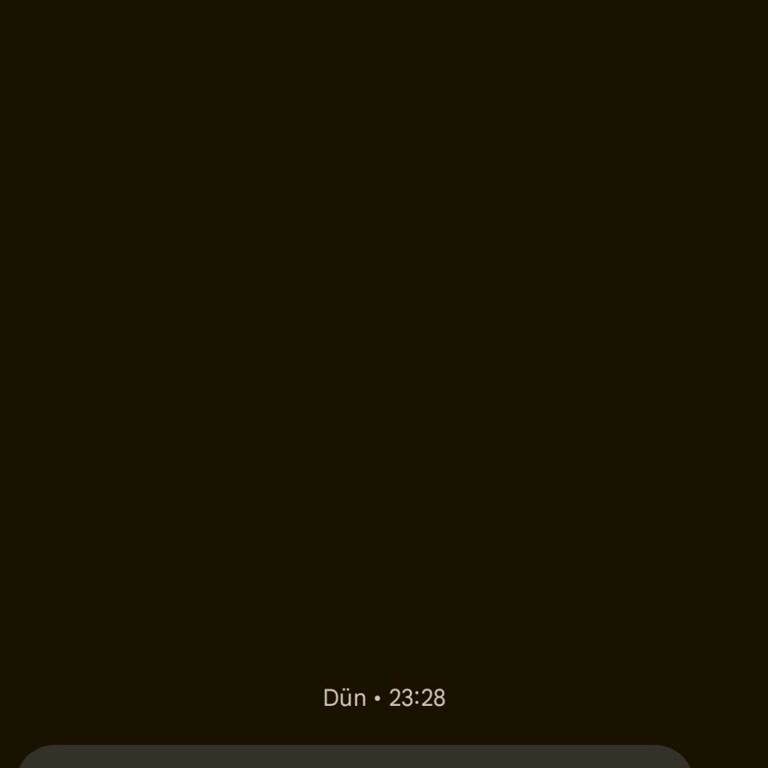 Rızam Dışında Gelen Discord Güvenlik Kodu SMS'i Hakkında Endişe