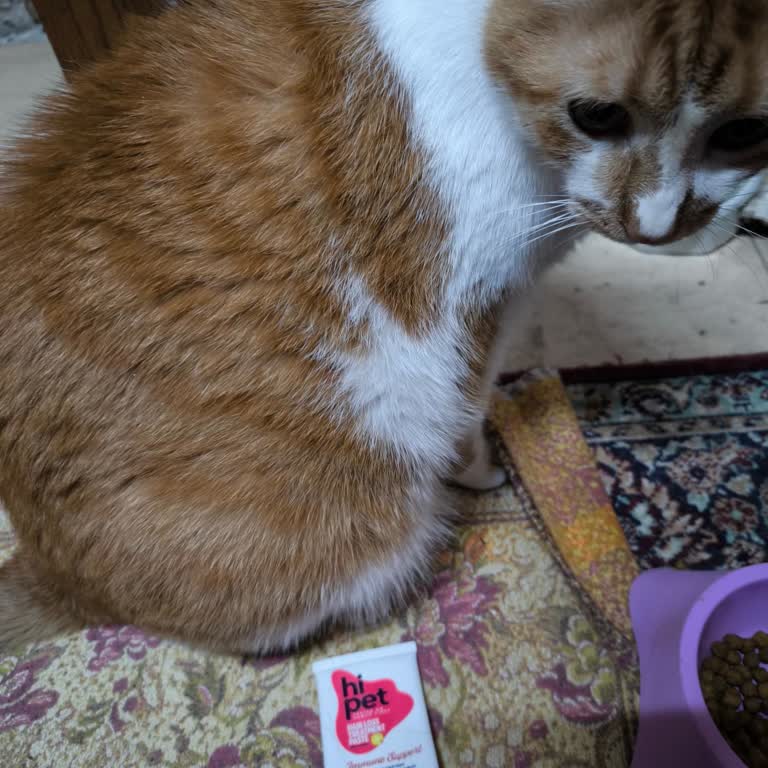 Hipet Cosmetics Şikayetçiyim