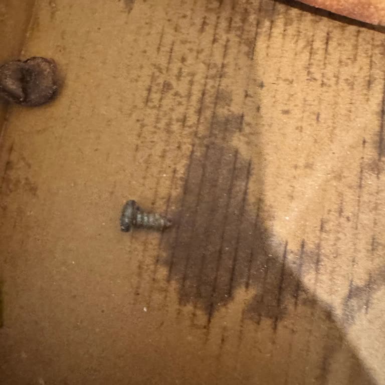 Gıdada Vida Şoku: Güvenlik Ve Hijyen Sorunu