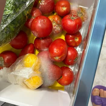 Siemens Buzdolabında Sürekli Soğutma Sorunu Ve Yetersiz Servis Desteği