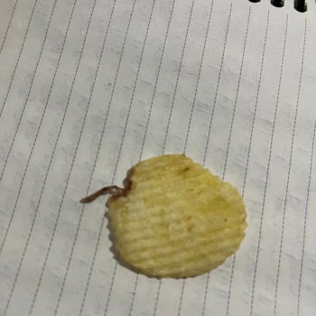 Ruffles Cips Paketinden Böcek Çıktı, Çocuklarımın Sağlığı Tehlikedeydi!