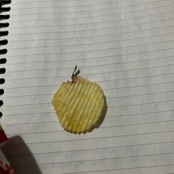 Ruffles Cips Paketinden Böcek Çıktı, Çocuklarımın Sağlığı Tehlikedeydi!