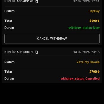 Millibet Kazancımı Çekemiyorum İşlem Yoğunluğu Deniyor
