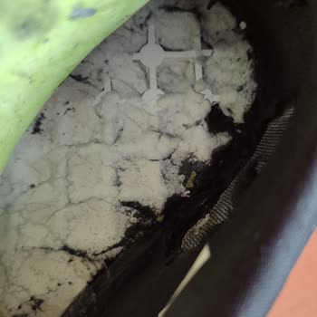 Reebok Ayakkabıda 5 Ayda Taban Ve Astar Sorunu, Değişim Talebi