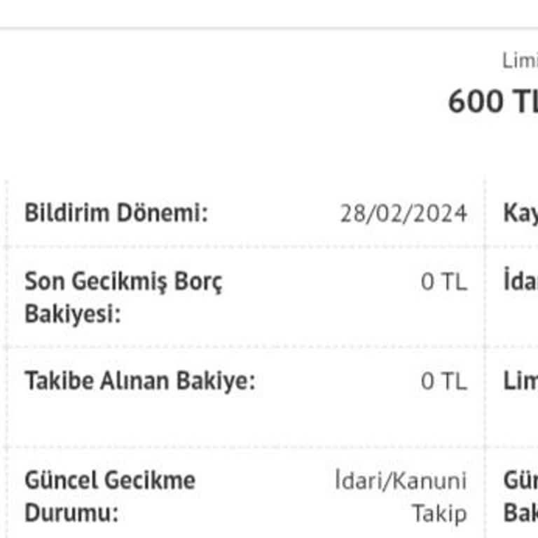 Kredi Kapanış Tarihi Hatası Nedeniyle Puanım Yükselmiyor