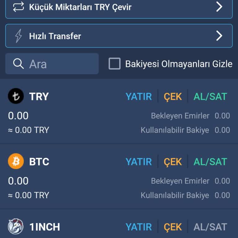 Bitexen Hesabımda Coinlerim Kayboldu, Bakiyem Sıfırlandı