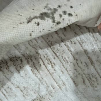 Bursa Duran Halı Yıkama İletişim Sıfır, Müşteri Memnuniyeti Sıfır!