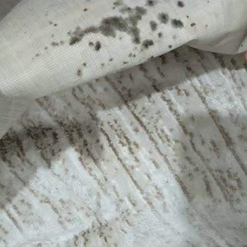 Bursa Duran Halı Yıkama İletişim Sıfır, Müşteri Memnuniyeti Sıfır!