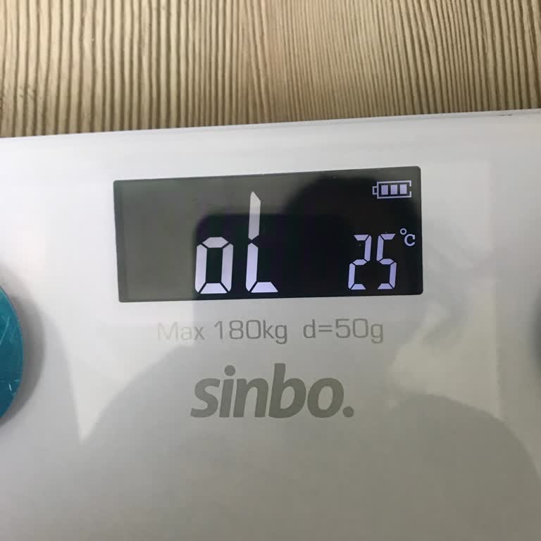 Sinbo Tartı Hatalı Ölçüm Ve Kapanma Sorunu