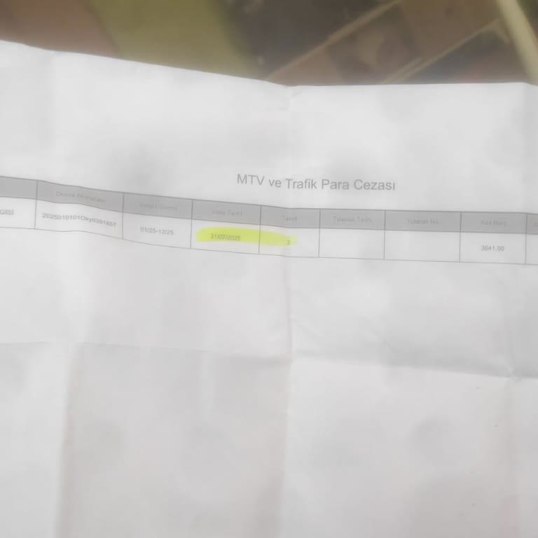 Vergi Pulu Ödemem Sistemde Görünmüyor Param İade Edilmiyor