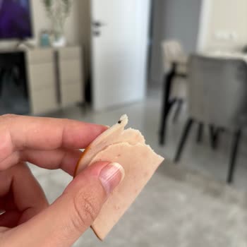 Son Kullanma Tarihi Geçmemiş Salamdan Böcek Çıkmasıyla Yaşadığım Şok