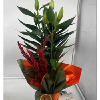 Sipariş Edilen Lilyum Yerine Yanlış Ve Eksik Ürün Teslimatı