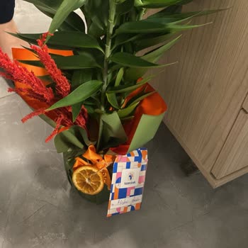 Sipariş Edilen Lilyum Yerine Yanlış Ve Eksik Ürün Teslimatı